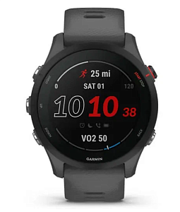 Умные часы Garmin Forerunner 255s (Серый)
