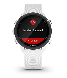 Умные часы Garmin Forerunner 245 Music (Белый)