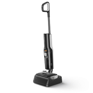 Пылесос моющий Roborock F25 LT (Чёрный)