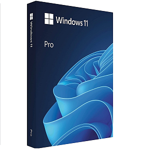 Услуга (Установка лицензионной версии Windows 11 Pro)