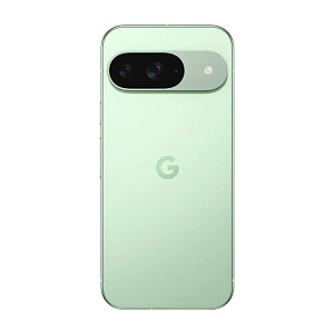Смартфон Google Pixel 9 12/256GB USA (12 ГБ, 256 ГБ, Зелёный, США, nanoSim+eSim, Без Rustore)