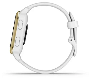 Умные часы Garmin Venu SQ (Белый)
