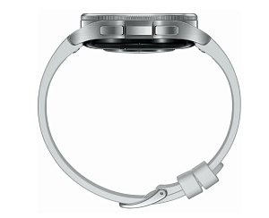 Умные часы Samsung Galaxy Watch 6 Classic 43 мм LTE (Cеребристый)