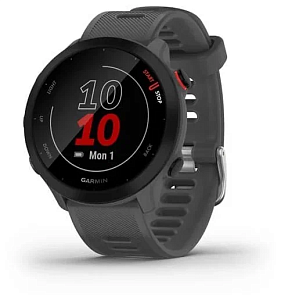 Умные часы Garmin Forerunner 55 42 мм (Серый)