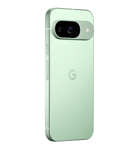 Смартфон Google Pixel 9 12/128GB USA (12 ГБ, 128 ГБ, Зелёный, США, nanoSim+eSim, Без Rustore)