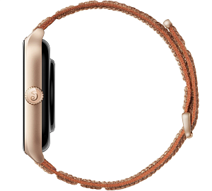 Умные часы Amazfit GTS 4 (Коричневый)