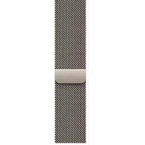 Умные часы Apple Watch Series 11 (Natural Titanium, Natural, Milanese Loop, 46mm, M/L)