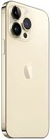 Смартфон Apple iPhone 14 Pro Max 256GB eSIM (256 ГБ, Золотой, США, 6 ГБ, eSim, Без Rustore)